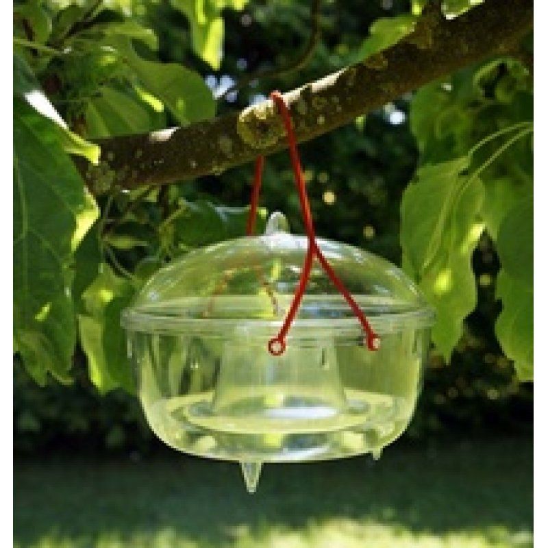 EDA Piège à guêpes à suspendre, diamètre: 170 mm