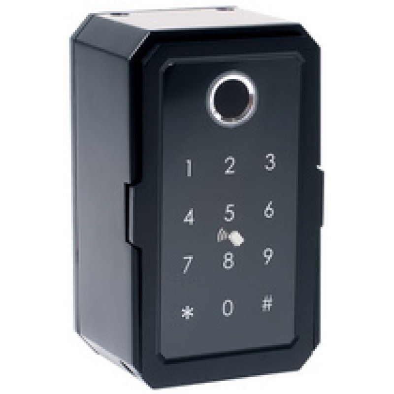 pavo Mini-coffre à clé Advanced, pour 1 clé, noir