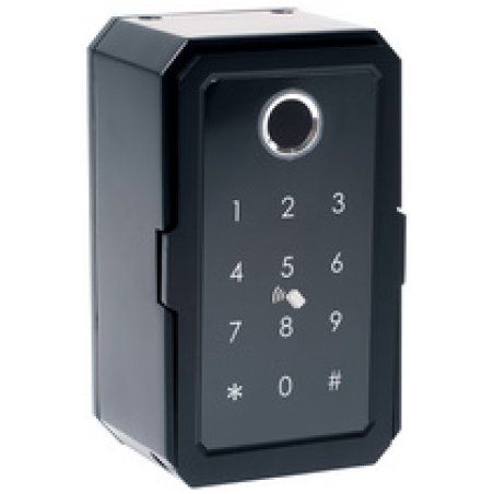 pavo Mini-coffre à clé Advanced, pour 1 clé, noir