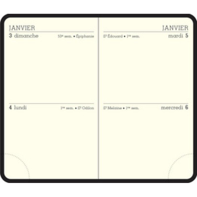 EXACOMPTA Agenda de poche MINI 11 2 JOURS, 2026, assorti