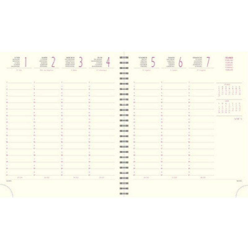 EXACOMPTA Agenda de bureau SAD 18S VERONE 2025/2026, 16 mois