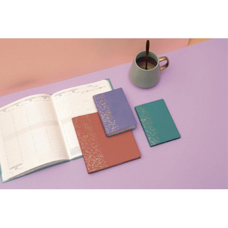 EXACOMPTA Agenda de poche Horizons 13, 2026, Amelie assorti