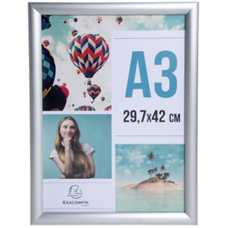 EXACOMPTA Cadre porte-affiche en aluminium, A4, argent