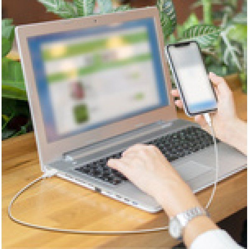 LogiLink Câble USB 2.0, USB-A - USB-C, 1,0 m, vert