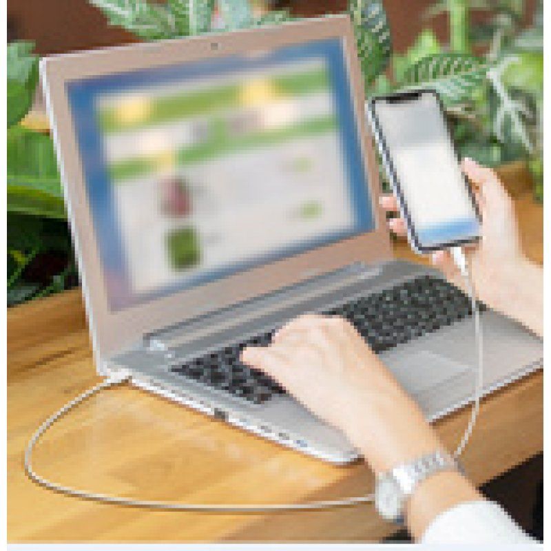 LogiLink CU0343 câble USB USB 2.0 1,5 m USB C Rose