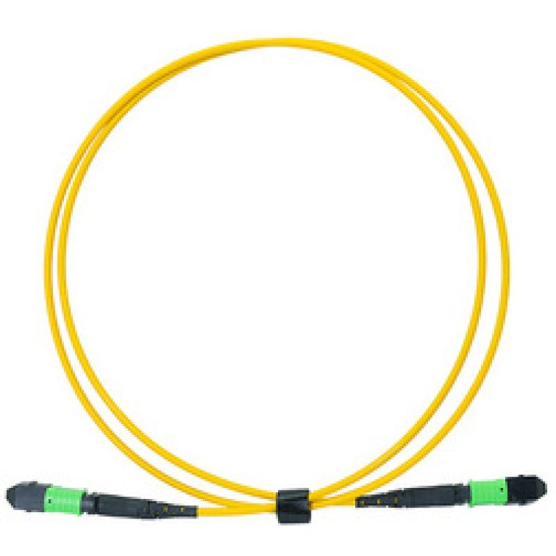 LogiLink Câble patch MPO, 12 fibres, Singlemode, OS2, 2 m