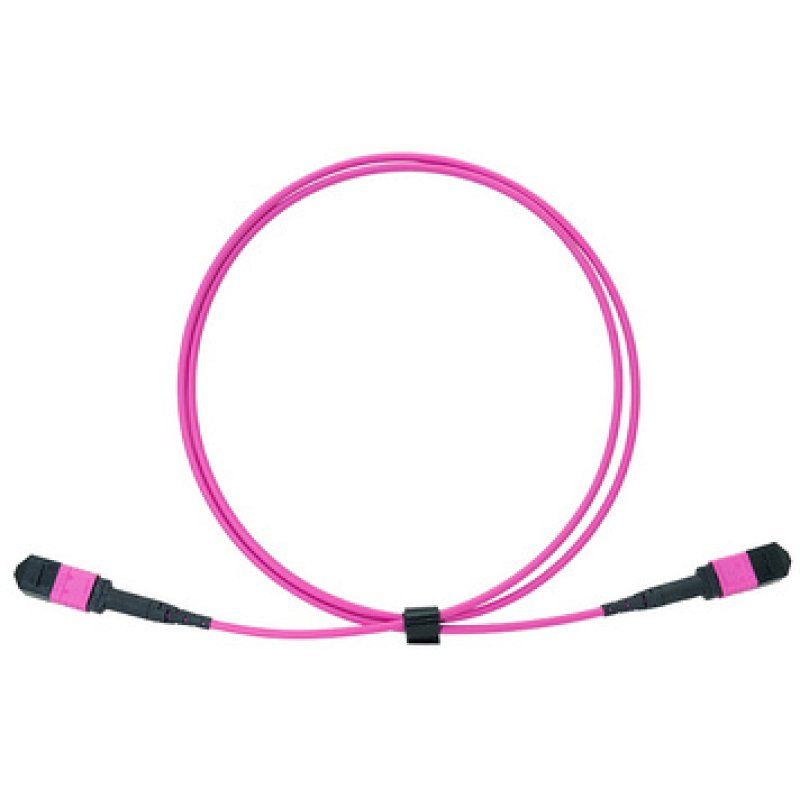 LogiLink Câble patch MPO, 12 fibres, Multimode, OM4, 1 m