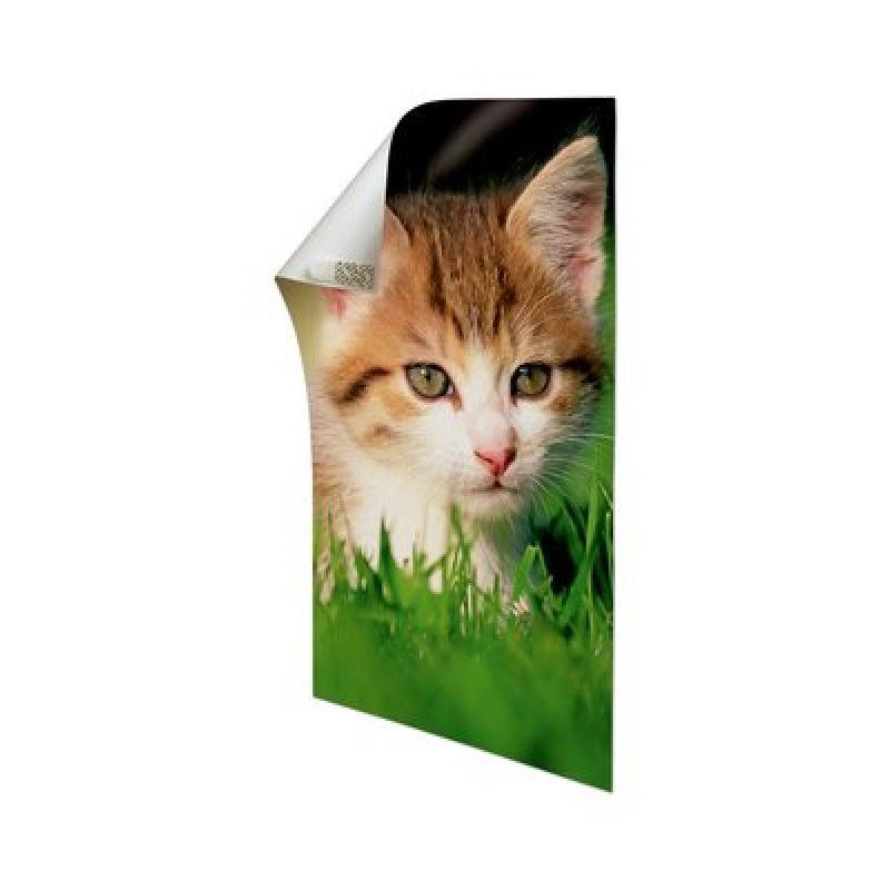 3M Command White Foam