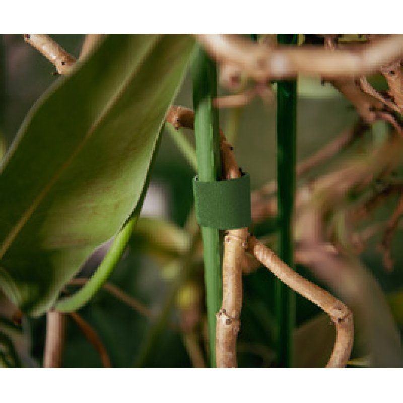 Bradas Ruban auto-agrippant, 9,5 mm x 5 m, vert