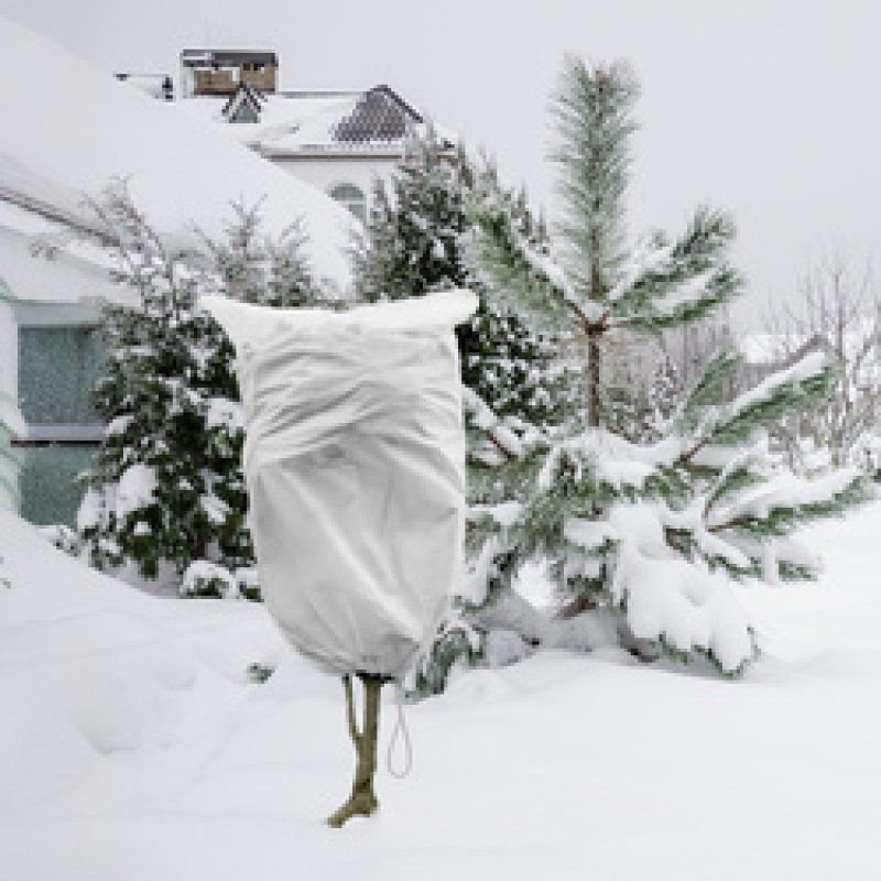 Bradas Couverture de protection hivernale, 800 mm