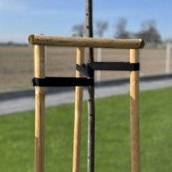 Bradas Bande de ligature pour arbres, PP, 40 mm x 25 m, noir