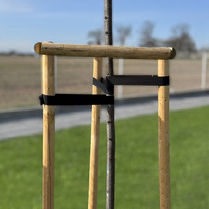 Bradas Bande de ligature pour arbres, PP, 40 mm x 25 m, noir