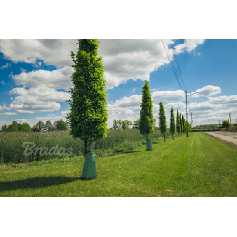 Bradas Sac d'arrosage pour arbres, PVC, 75 litres, vert