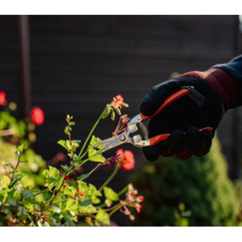 Bradas Sécateur bypass V-SERIES, lame inox droite, orange