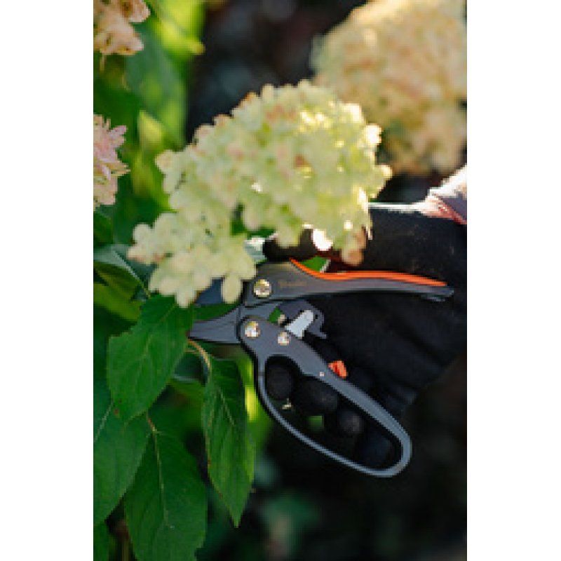 Bradas Sécateur à enclume V-SERIES, anthracite/orange