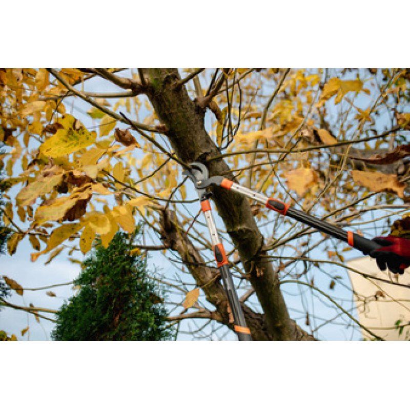 Bradas Coupe-branches Bypass V-SERIES, télescopique