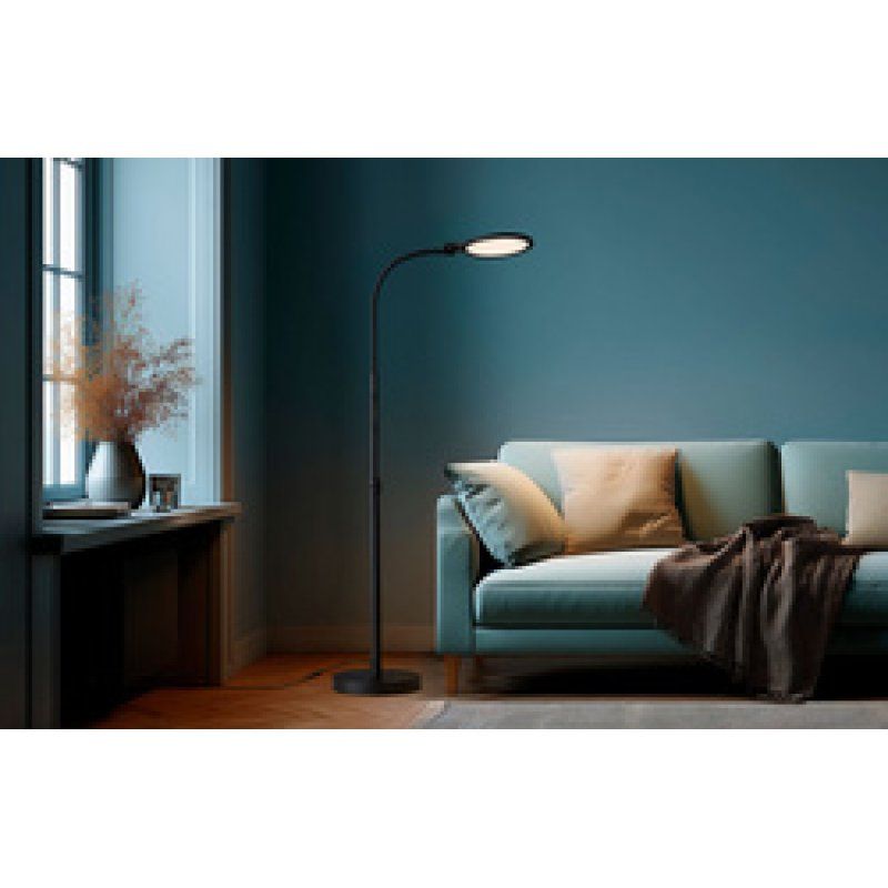 Hansa Lampadaire / Lampe de lecture LED ATRIA, noir mat