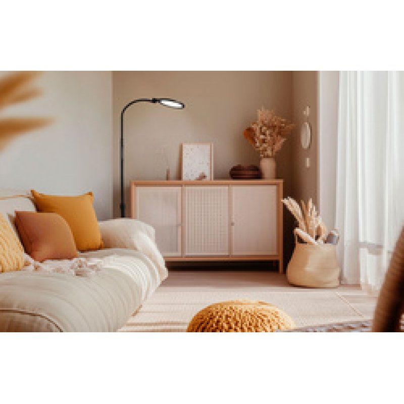 Hansa Lampadaire / Lampe de lecture LED ATRIA, noir mat