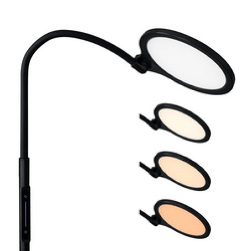 Hansa Lampadaire / Lampe de lecture LED ATRIA, noir mat