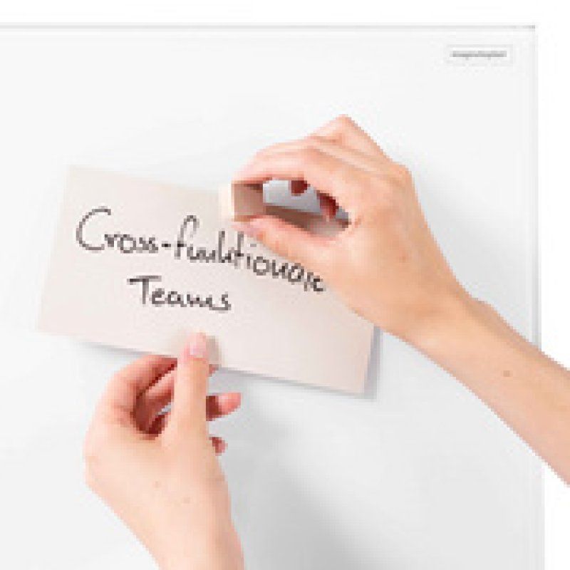 magnetoplan Tableau magnétique en verre (L)760 x (H)1.800 mm