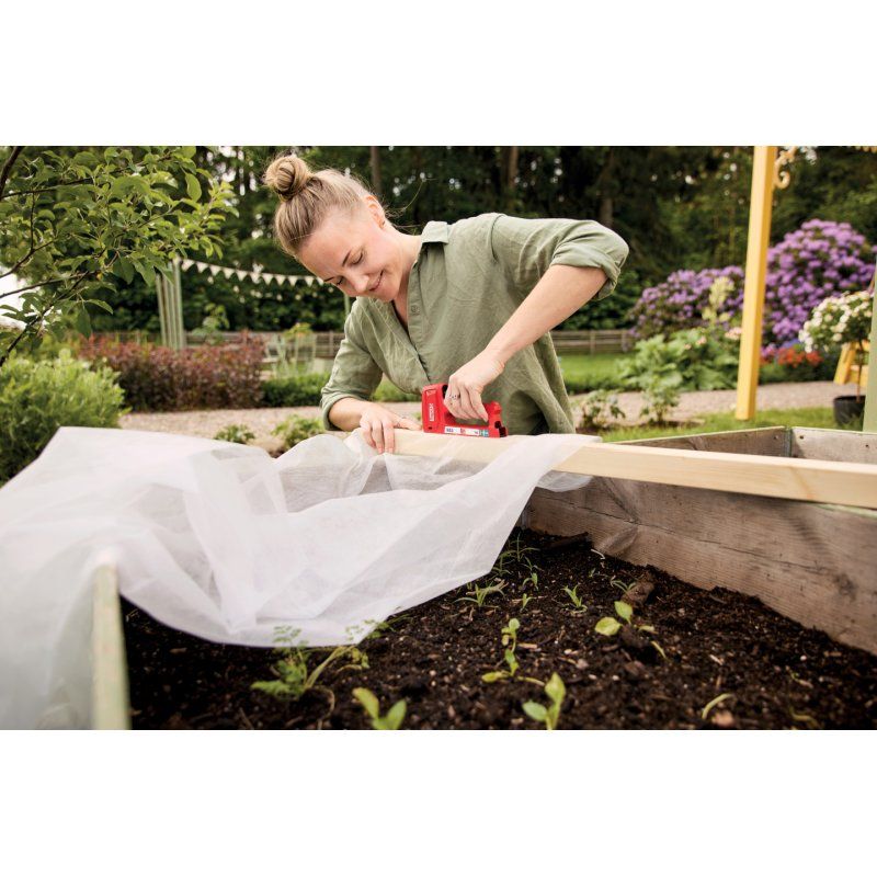 Rapid 5001661 agrafeuse Rouge