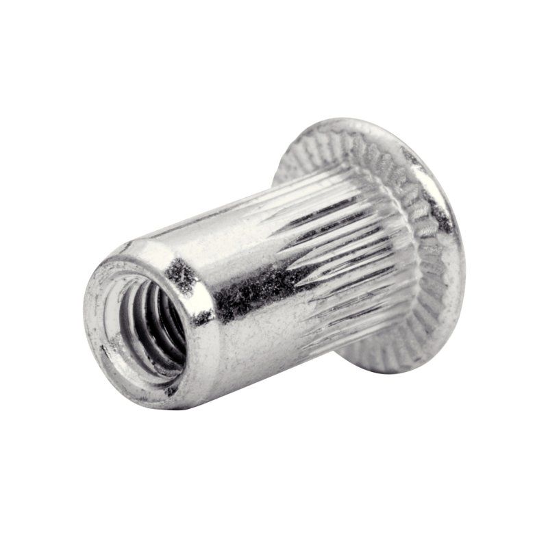 Rapid 5000670 écrou Écrou rivet M3 20 pièce(s)