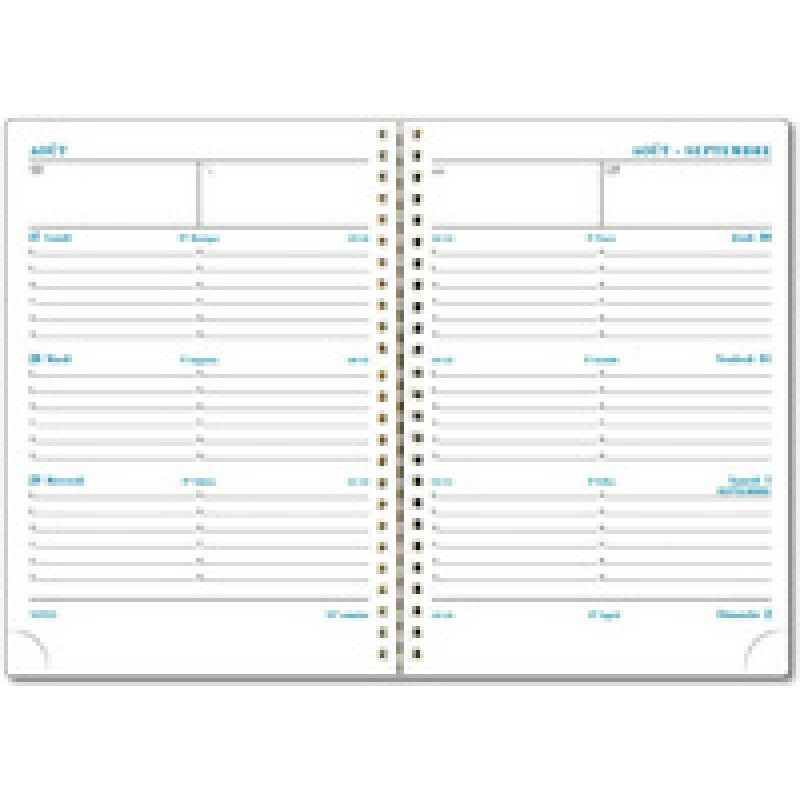 EXACOMPTA Agenda de bureau SAD 19S, 2025/2026, 16 mois