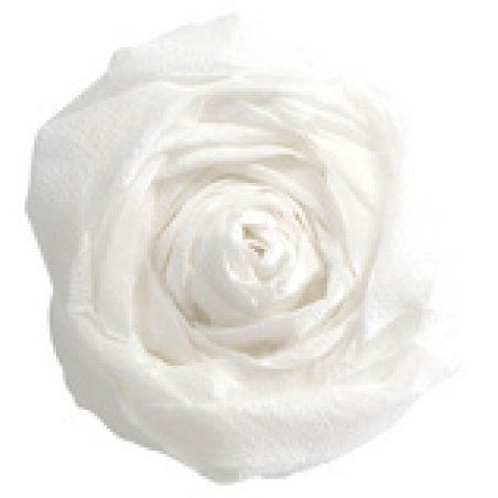 Clairefontaine Papier crépon, (l)500 mm x (L)2 m, ivoire