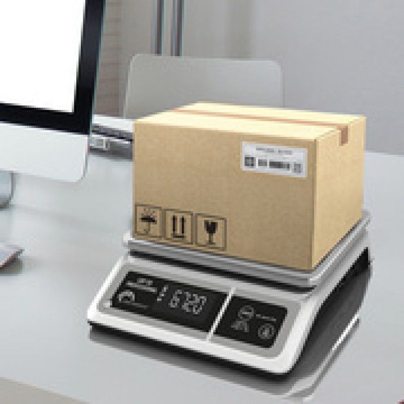 Little balance Balance LBP 50 Professional, capacité: 50 kg