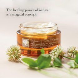 New Nordic Pigment Clear Face Cream 50ml - Antioxidant Brightening Dark Spot
