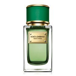 Dolce&Gabbana Velvet Cypress 150 ml Femmes