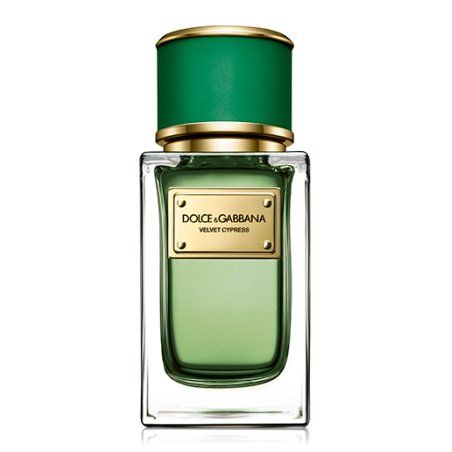Dolce & Gabbana Velvet Collection Cypress EDP 150ml