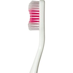 Denthoral Plus Toothbrush with Brush Head Cover 21g
