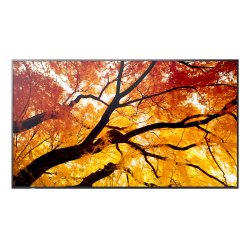 Sharp MultiSync M862 Écran plat de signalisation numérique 2,18 m (86") LCD 550 cd/m² 4K Ultra HD Noir 24/7