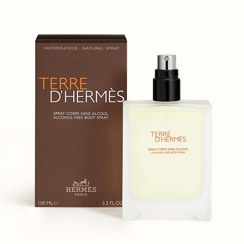 Hermes Terre D' 100 ml Hommes