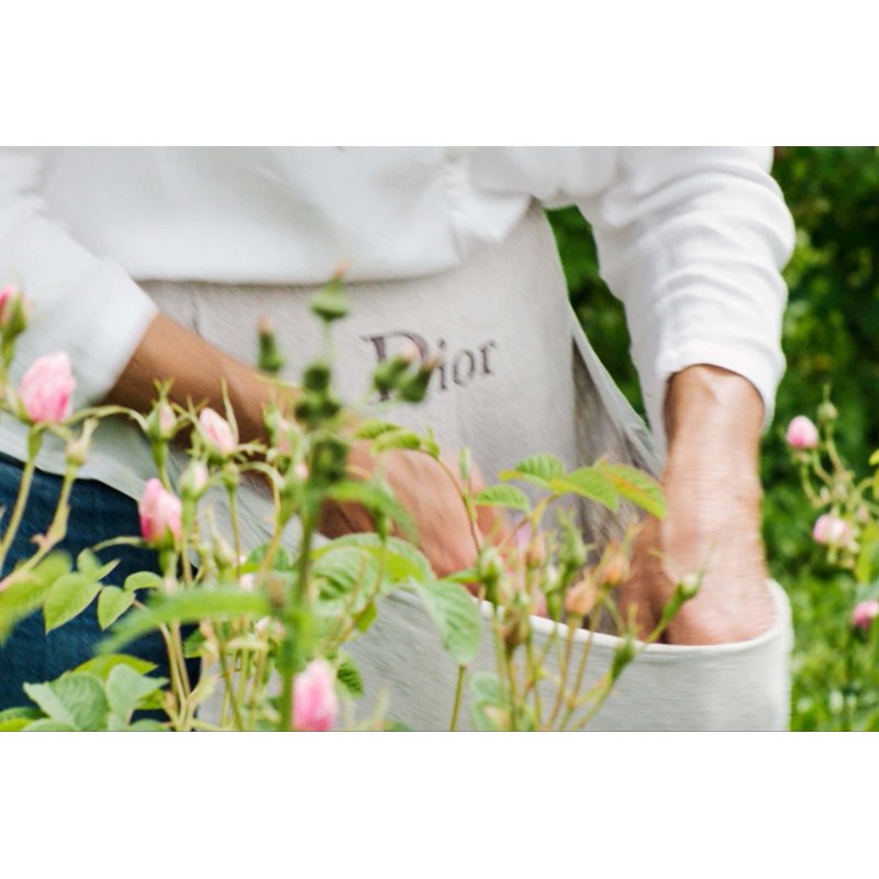 Dior Miss Dior Absolutely Blooming Eau De Parfum Spray 50ml