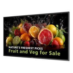 Philips 5000 series 43BDL5050D Écran plat de signalisation numérique 108 cm (42.5") LCD Wifi 600 cd/m² 4K Ultra HD