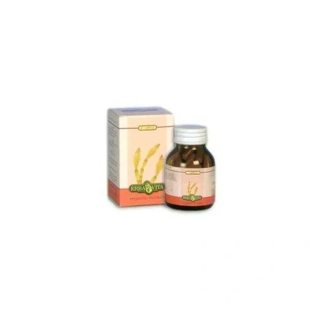 Erba Vita Fucus 60 Capsules 500 Milligrams