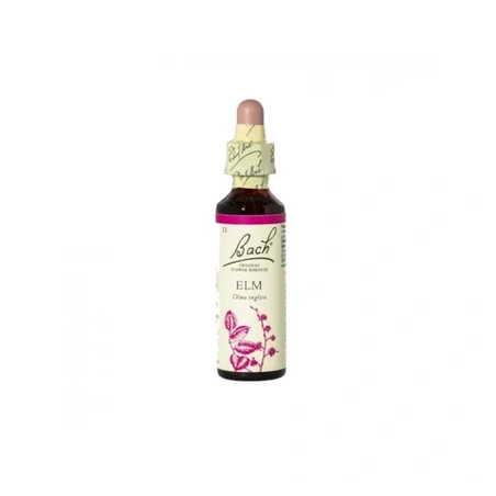 Schwabe Pharma Italia Bach Flower Remedies Elm For When Overwhelmed By Excess Responsibility Oral Drops 20 Ml