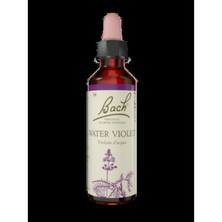 Wasserviole Bach Original 20ml
