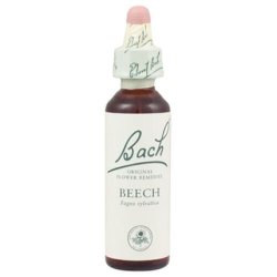 Original Bach Beech Blossom 20ml