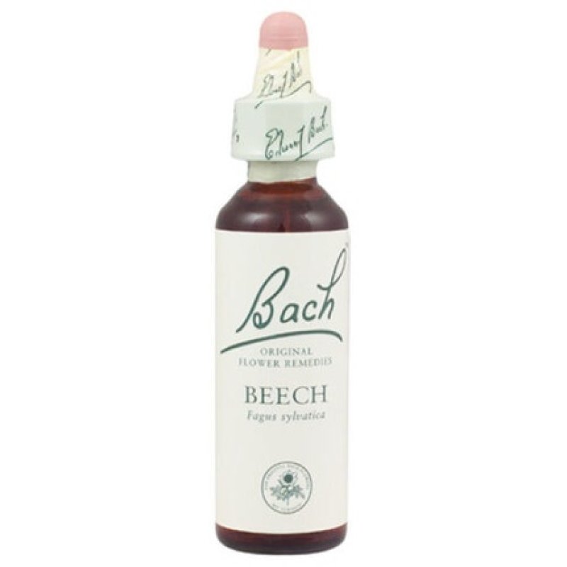 Original Bach Beech Blossom 20ml