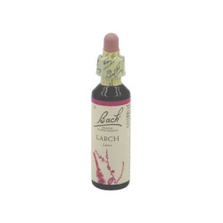 Schwabe Pharma Italia Fiori Di Bach 19 Larch For Lack Of Selfconfidence Oral Drops 20 Milliliters
