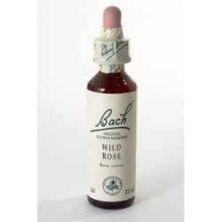 Schwabe Pharma Wildrose Bach Flower Original Herbal Remedy 20ml