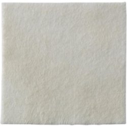 Biatain Alginate Ag 5x5cm 30 Pieces