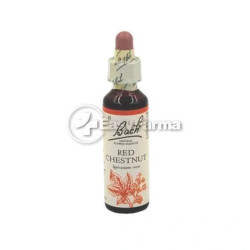 Schwabe Pharma Italia Fiori Di Bach 25 Red Chestnut For Excessive Worry Oral Drops 20 Milliliters