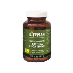 Lifeplan Products Ltd Smooth Elm Bark 50 Capsules