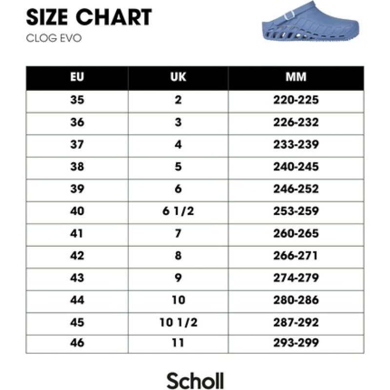 Scholl Clog Evo Professional Sanitary Clogs for Men and Women - Ultra Light