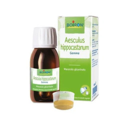 Boiron Aesculus Hippocastanum Glycerin Macerate 60 Milliliters