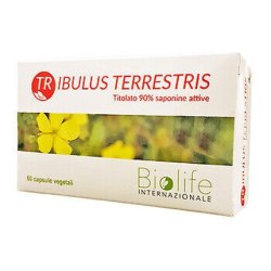 Tribulus Terrestris Dietary Supplement 60 Tablets